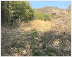  2025Ÿ��587  �������