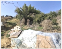  2025Ÿ��587  �������