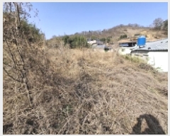  2025Ÿ��587  �������