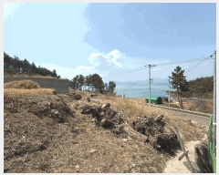  2025Ÿ��609 �泲 ���ر� â���� ������ ��48-2      ����(�Ӿ�)���