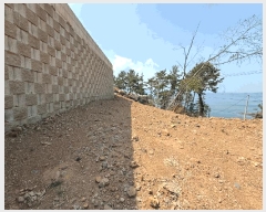  2025Ÿ��609 �泲 ���ر� â���� ������ ��48-2      ����(�Ӿ�)���