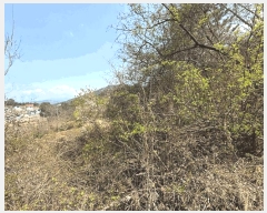  2025Ÿ��609 �泲 ���ر� â���� ������ ��48-2      ����(�Ӿ�)���