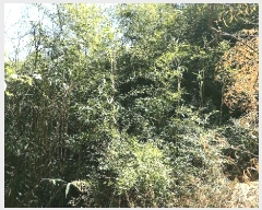  2025Ÿ��619  ���ð��