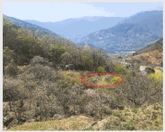  2025Ÿ��629  ����