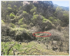  2025Ÿ��629  ����