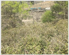  2025Ÿ��629  ����