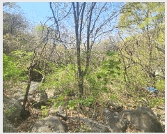  2025Ÿ��629  ����