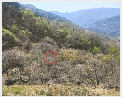  2025Ÿ��629  ����