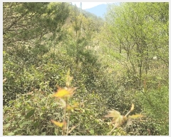  2025Ÿ��629  ����