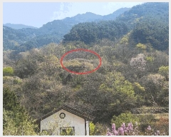  2025Ÿ��629  ����