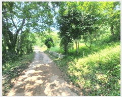  2025Ÿ��634 �泲 �ϵ��� �纸�� ���縮 343      ����(��1)���