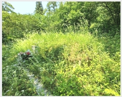  2025Ÿ��634 �泲 �ϵ��� �纸�� ���縮 343      ����(��1)���