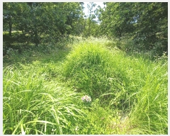  2025Ÿ��634 �泲 �ϵ��� �纸�� ���縮 343      ����(��1)���