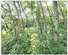  2025Ÿ��634 �泲 �ϵ��� �纸�� ���縮 343      ����(��1)���