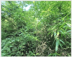  2025Ÿ��634 �泲 �ϵ��� �纸�� ���縮 343      ����(��1)���