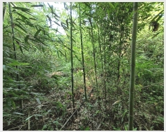  2025Ÿ��634 �泲 �ϵ��� �纸�� ���縮 343      ����(��1)���