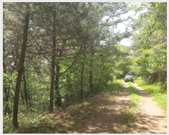  2025Ÿ��639 �泲 ��õ�� ����� �۸��� ��19      ����(�Ӿ�)���