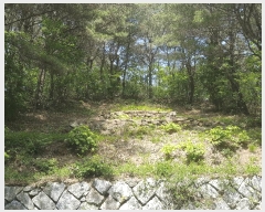  2025Ÿ��639 �泲 ��õ�� ����� �۸��� ��19      ����(�Ӿ�)���