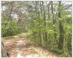  2025Ÿ��639 �泲 ��õ�� ����� �۸��� ��19      ����(�Ӿ�)���