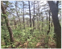  2025Ÿ��639 �泲 ��õ�� ����� �۸��� ��19      ����(�Ӿ�)���