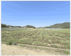  2025Ÿ��662 �泲 �ϵ��� ������ ������ 513-3      ����(��)���