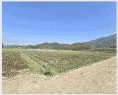  2025Ÿ��662 �泲 �ϵ��� ������ ������ 513-3      ����(��)���