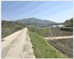  2025Ÿ��662 �泲 �ϵ��� ������ ������ 513-3      ����(��)���