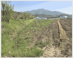  2025Ÿ��662 �泲 �ϵ��� ������ ������ 513-3      ����(��)���