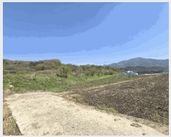  2025Ÿ��662 �泲 �ϵ��� ������ ������ 513-3      ����(��)���