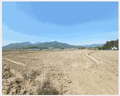  2025Ÿ��667 �泲 ��õ�� ���̵� 127-17       ����(��)���