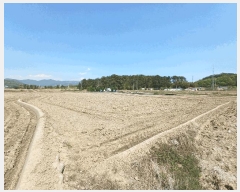  2025Ÿ��667 �泲 ��õ�� ���̵� 127-17       ����(��)���