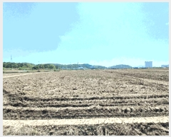  2025Ÿ��667 �泲 ��õ�� ���̵� 127-17       ����(��)���