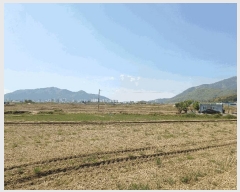  2025Ÿ��667 �泲 ��õ�� ���̵� 127-17       ����(��)���