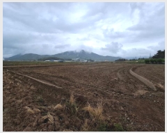  2025Ÿ��667 �泲 ��õ�� ���̵� 127-17       ����(��)���