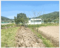  2025Ÿ��672  ����