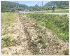  2025Ÿ��672  ����