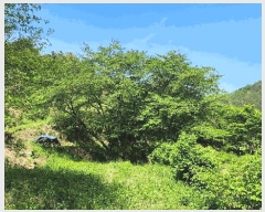  2025Ÿ��672  ����