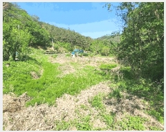  2025Ÿ��672  ����