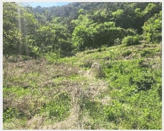  2025Ÿ��672  ����