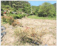  2025Ÿ��672  ����