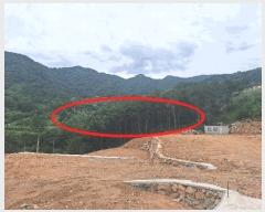  2025Ÿ��699 �泲 ��û�� �žȸ� �ܼ۸� ��15-31      ����(�Ӿ�)���