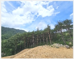  2025Ÿ��699 �泲 ��û�� �žȸ� �ܼ۸� ��15-31      ����(�Ӿ�)���