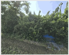  2025Ÿ��718 �泲 �ϵ��� ��õ�� ȭ���� ��168      ����(�Ӿ�)���