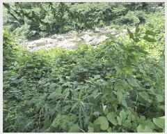  2025Ÿ��736  �Ӿ߰��