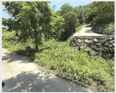  2025Ÿ��736  �Ӿ߰��