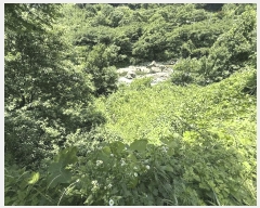  2025Ÿ��736  �Ӿ߰��