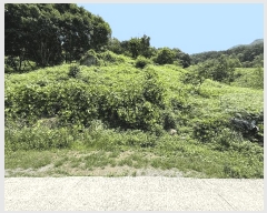  2025Ÿ��736  �Ӿ߰��