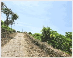  2025Ÿ��784 �泲 ���ر� ���� ���帮 200-2      ����(��)���