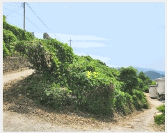  2025Ÿ��784 �泲 ���ر� ���� ���帮 200-2      ����(��)���