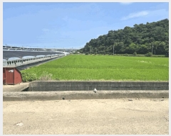  2025Ÿ��789 �泲 ���ֽ� ������ �̰ 854      ����(��)���